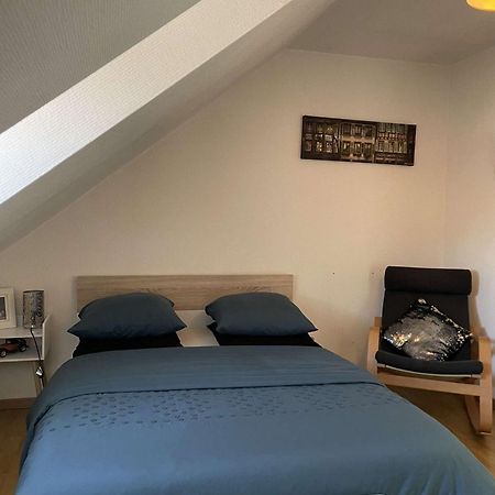 קולמר Joli Appartement Avec Place De Parking Prive מראה חיצוני תמונה