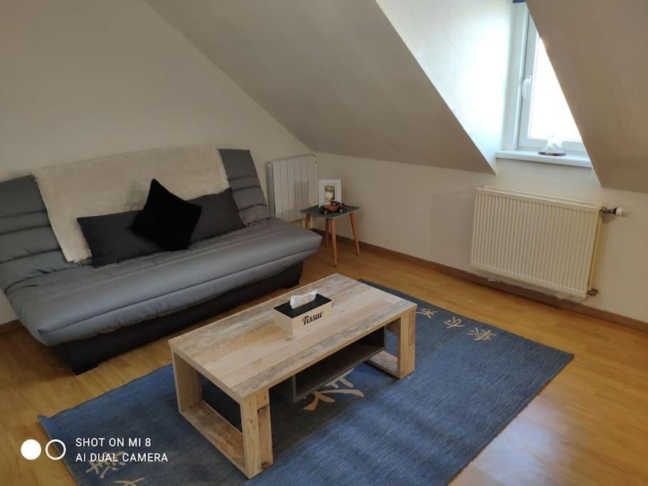 קולמר Joli Appartement Avec Place De Parking Prive מראה חיצוני תמונה