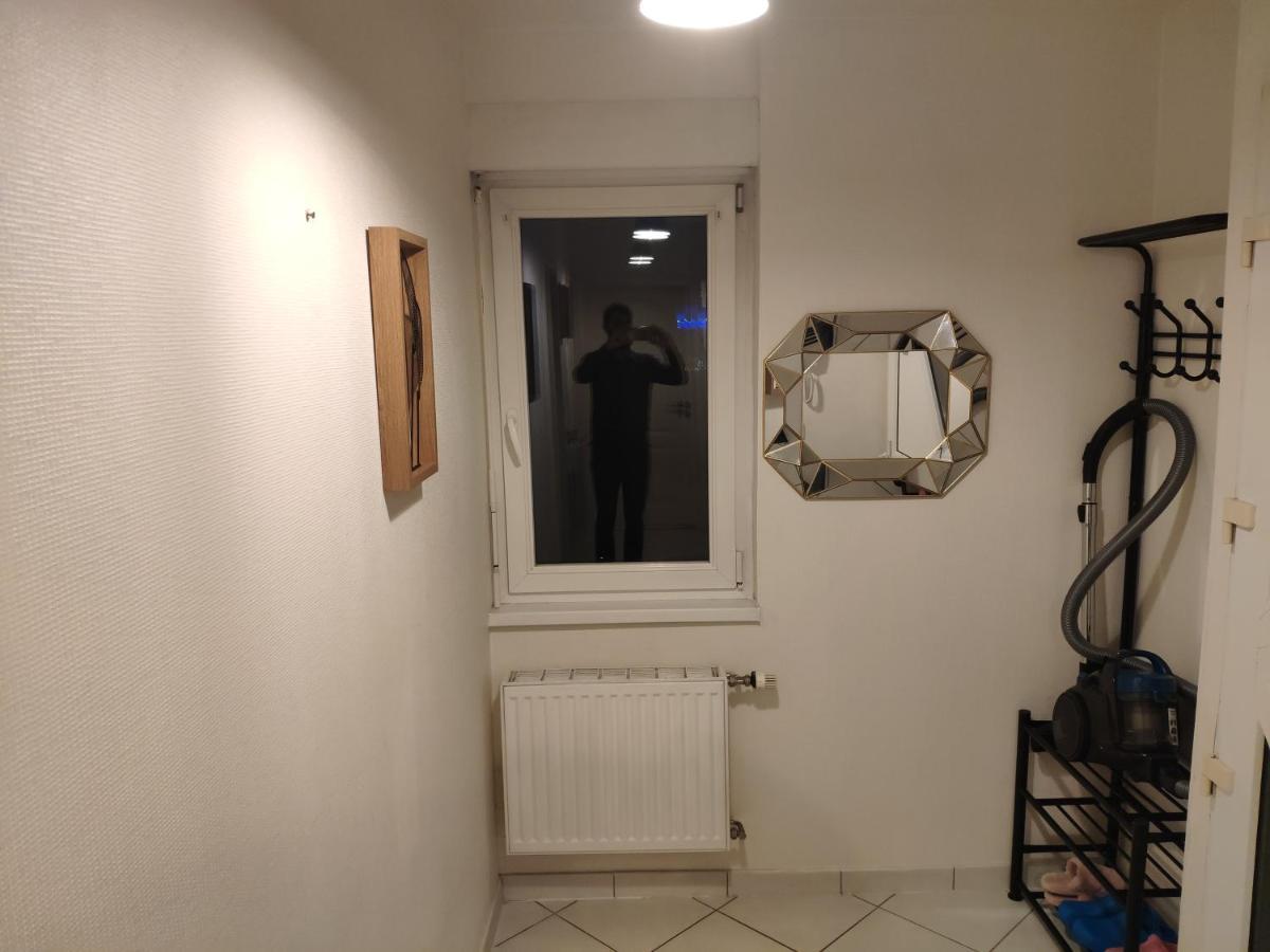 קולמר Joli Appartement Avec Place De Parking Prive מראה חיצוני תמונה