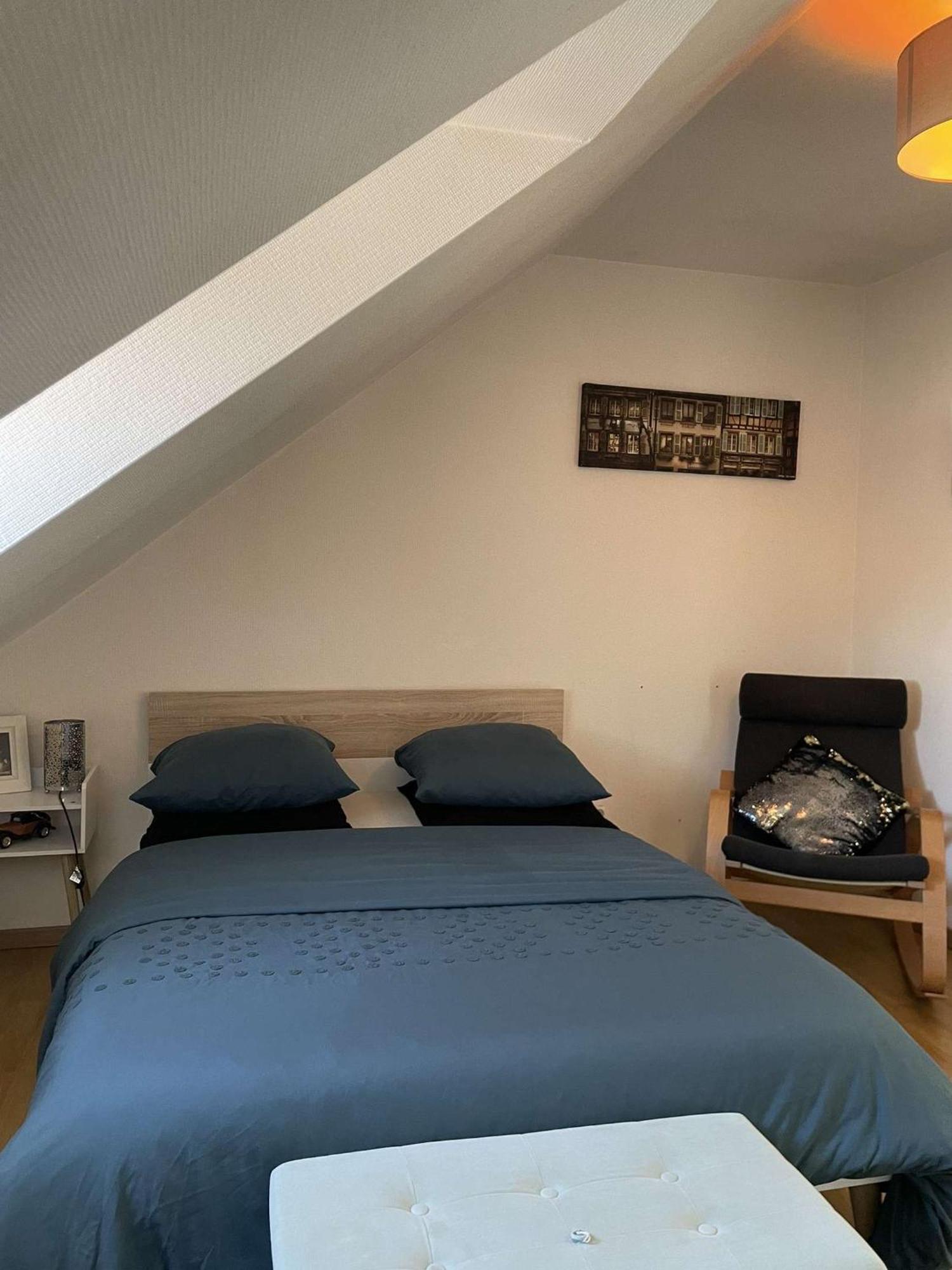 קולמר Joli Appartement Avec Place De Parking Prive מראה חיצוני תמונה